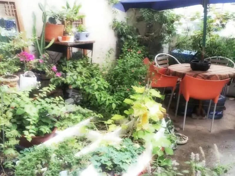 Lydia Craft Guesthouse - photo 9