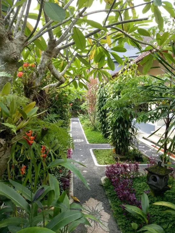 Krisda Ubud Guest House - photo 4