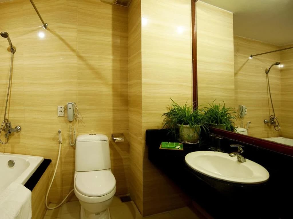 Bamboo Green Central Hotel - photo 8