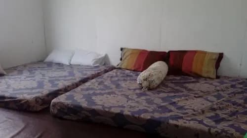 Pari Solata Seaview - photo 3