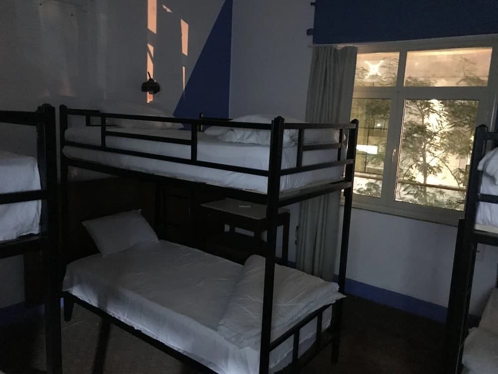 Museum House Hostel - photo 5