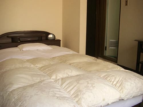 Hotel Tachibana - photo 2