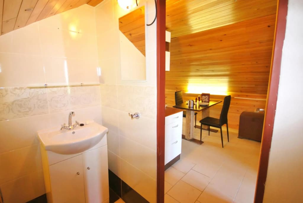 Apartments Zbraslav - photo 9