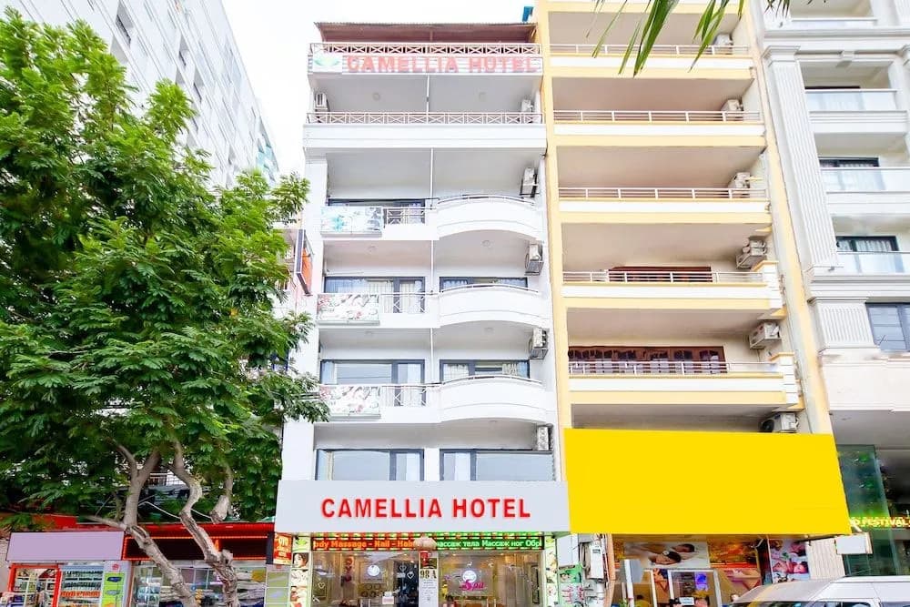 OYO 447 Camellia - main photo