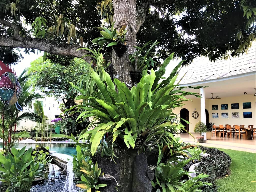 Villa Costa Plenty - photo 32