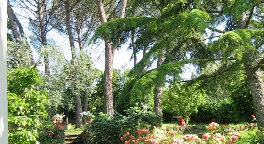 Fiorenza - photo 26