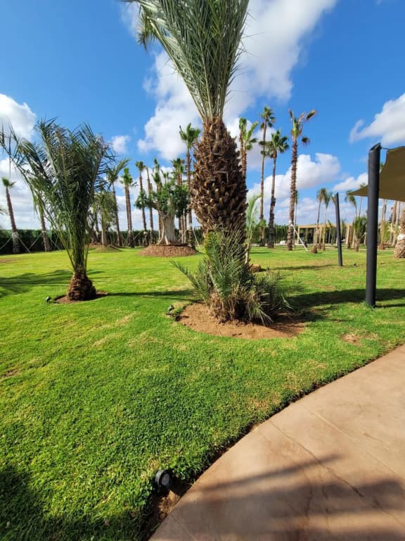 Magnifique Villa Golf Amelkis Marrakech - photo 43