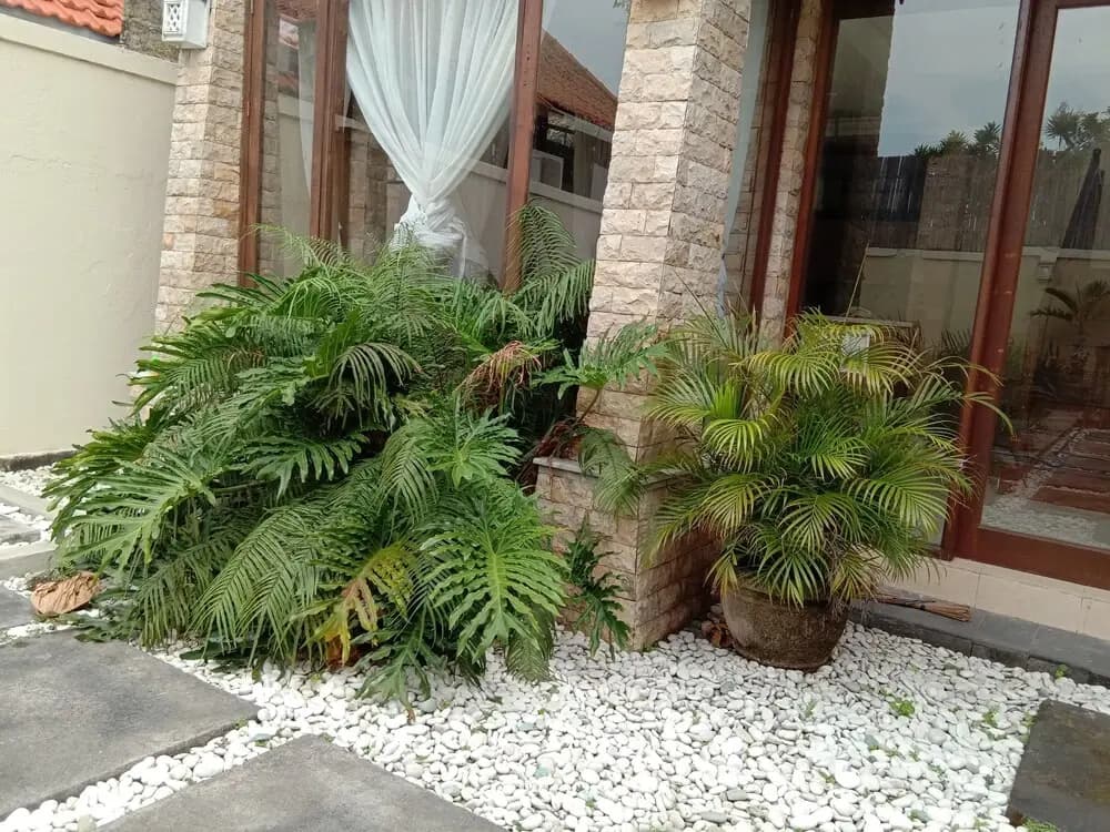 Loven Sanur Guest House - photo 18