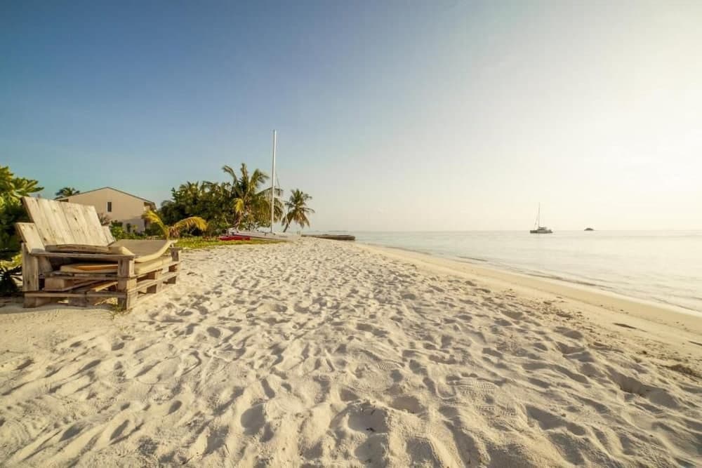 Portia Hotel & Spa - photo 19