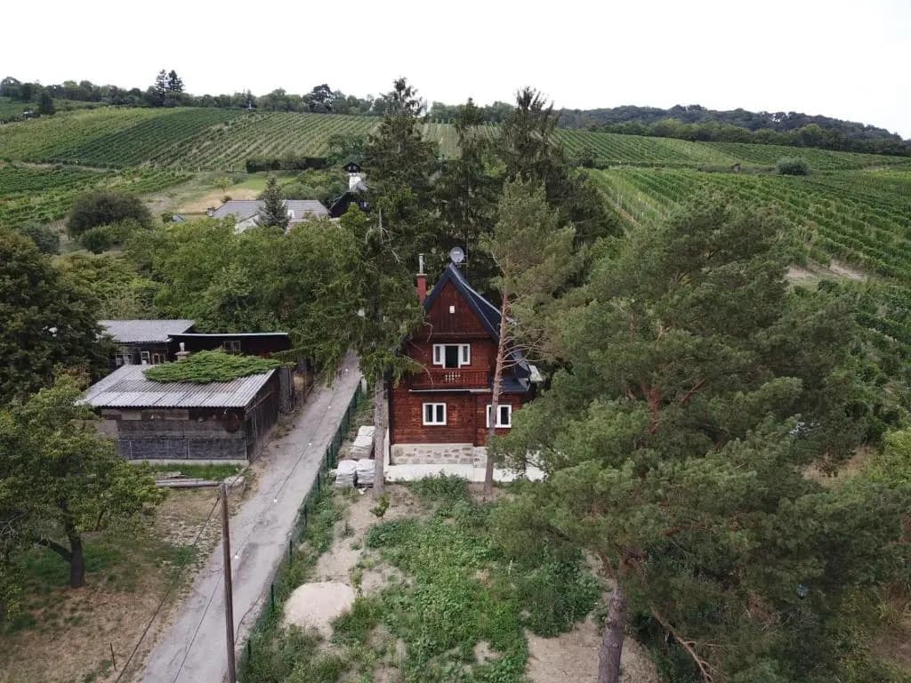 Vacationhome in the vineyards - main photo