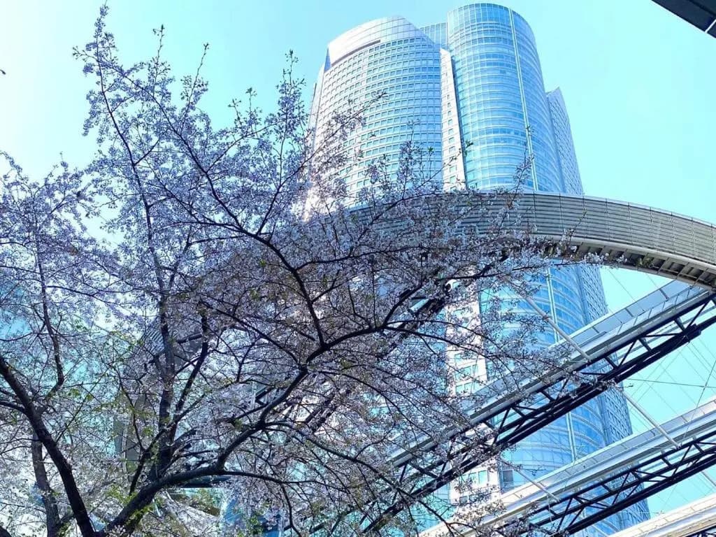 APA HOTEL Roppongi Six - photo 11