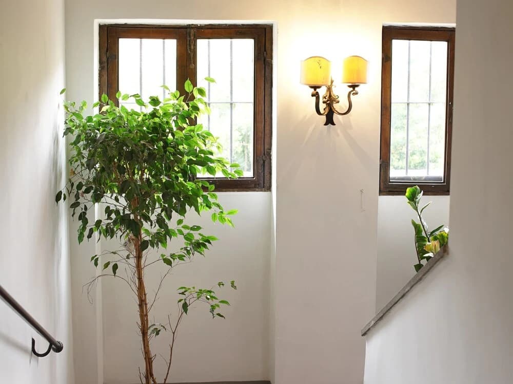Youroom Corsini - photo 12