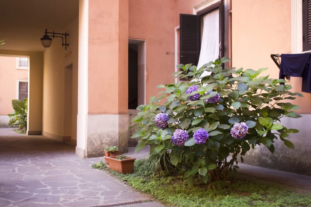 Casa Vacanze Vespucci - photo 2