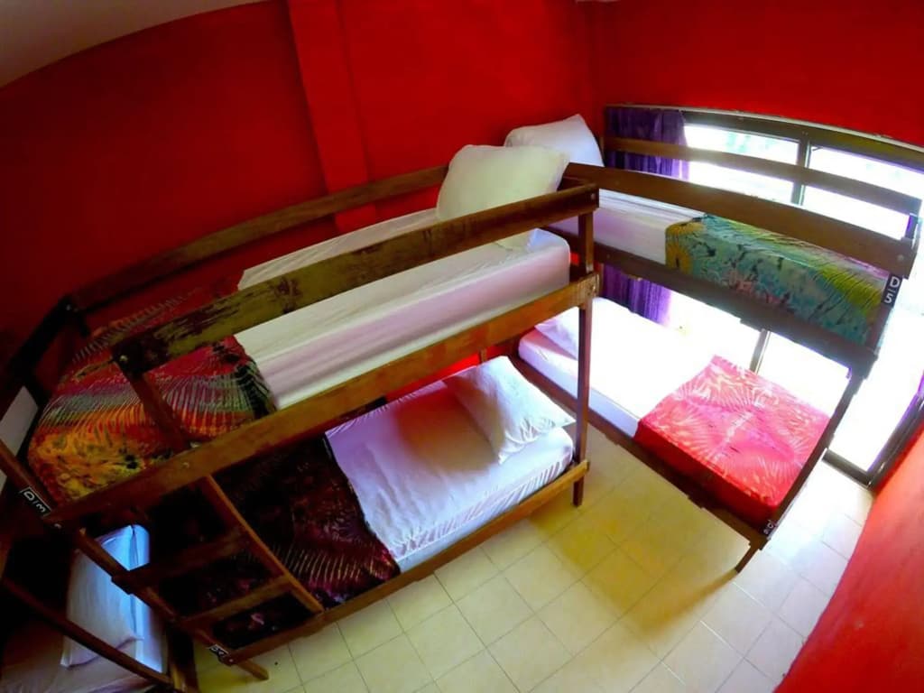 Echo Beach Hostel - photo 2