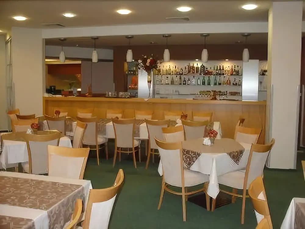 Hotel Cechie Praha - photo 29