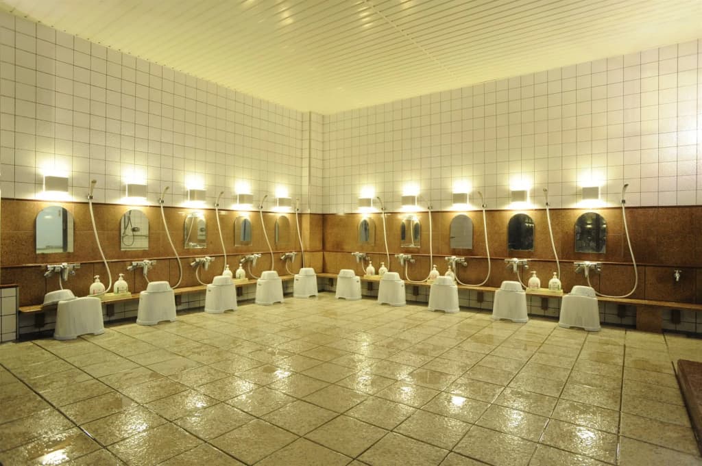 Saga Grace Hotel - photo 9