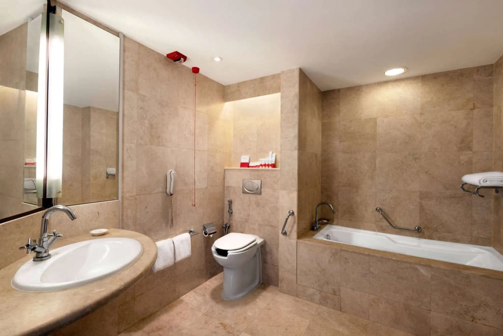 Ramada Plaza by Wyndham Dubai Deira - photo 8