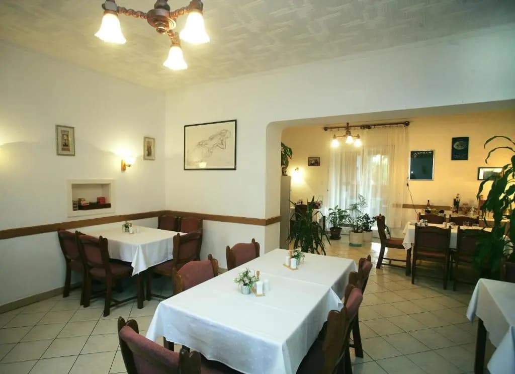 Pestjhely Panzi tterem - photo 11