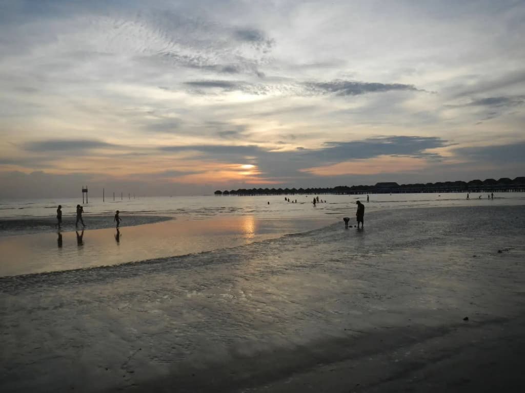 Seri Bayu Resort - photo 11
