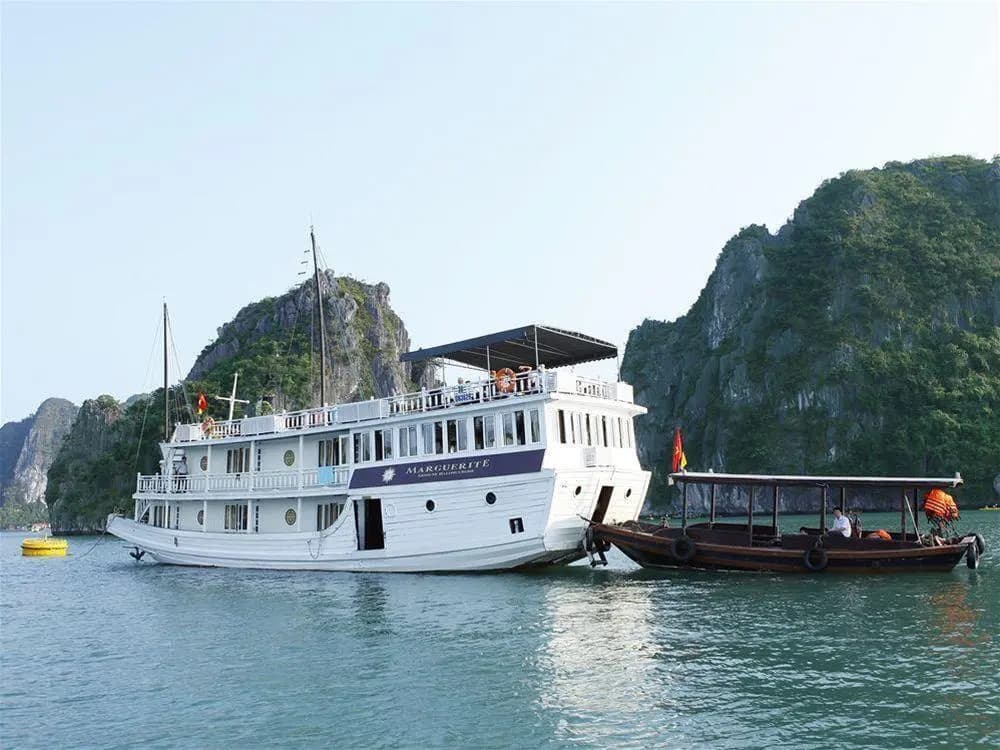 Marguerite Cruises - photo 7