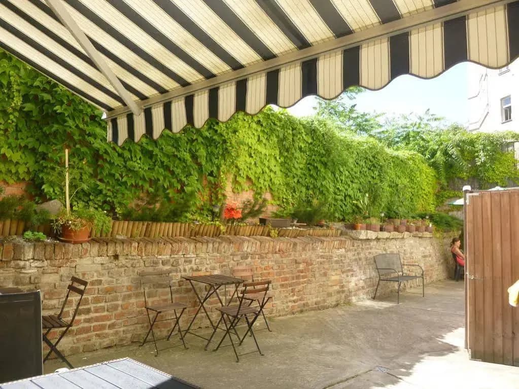 Pension Albert - photo 11