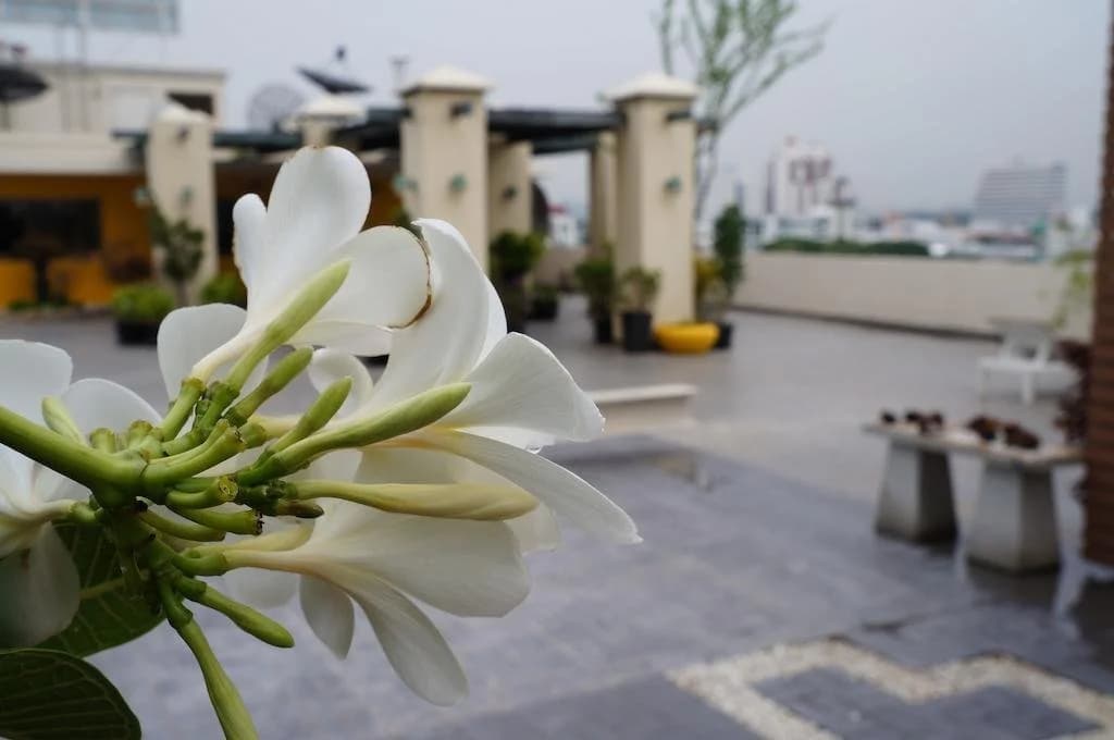 Hotel Sathorn Place - photo 9