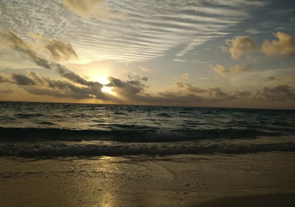 Athiriveli - photo 6