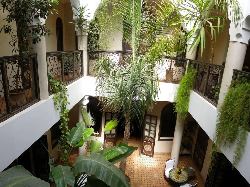 Riad Bamaga - photo 12