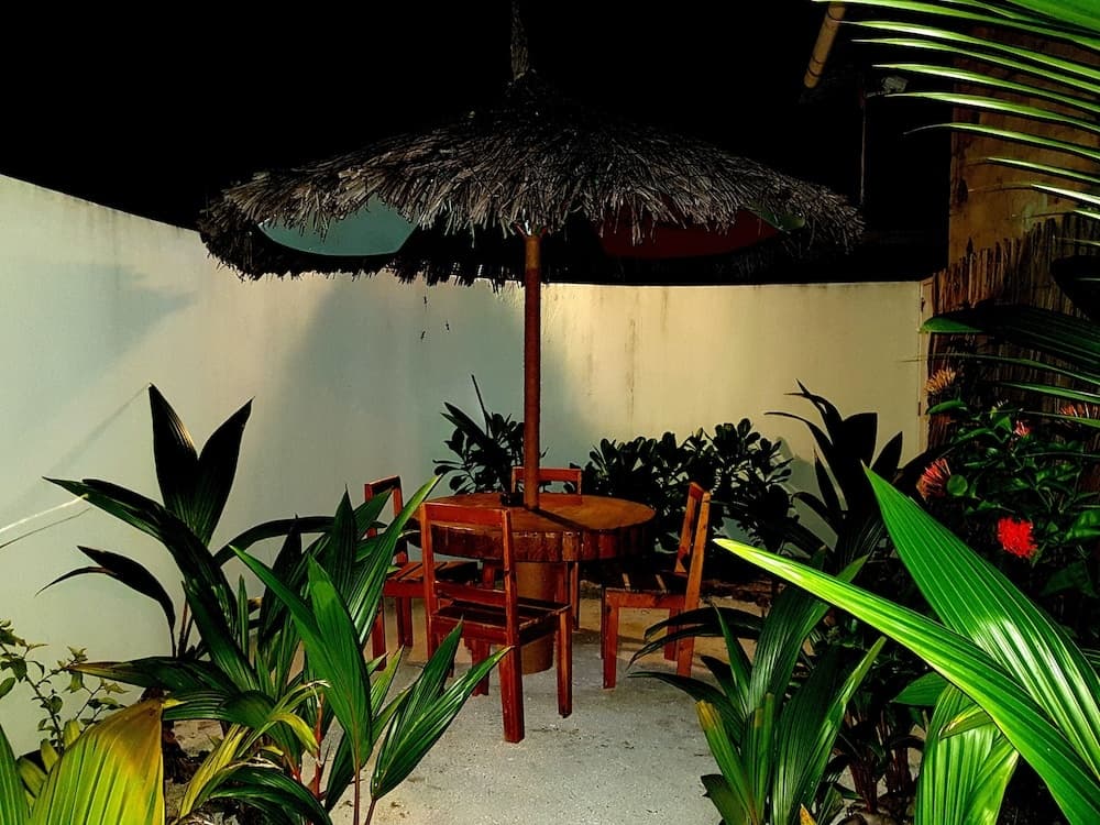 Island Guest - photo 22