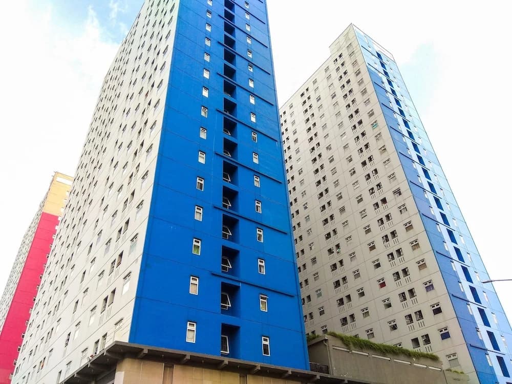 Minimalist Studio Green Pramuka Apartment - main photo