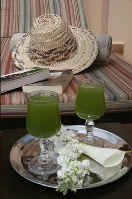 Dar Chadia - photo 6