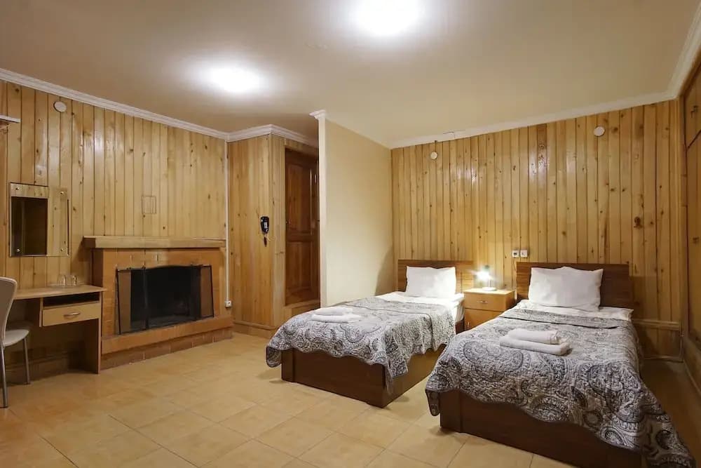 Arta Hotel - photo 5