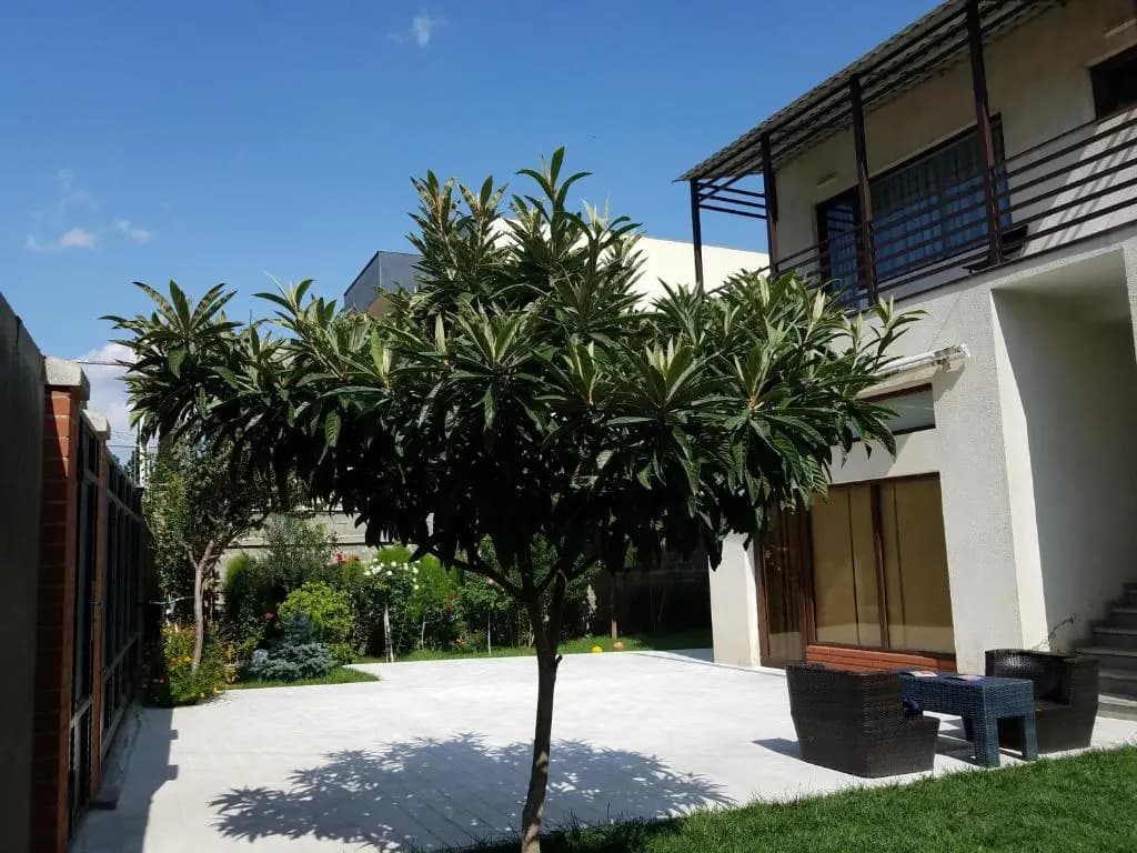 House in Tbilisi - photo 10