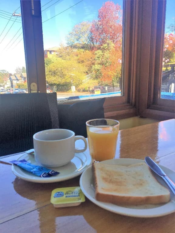 Clarendon Motel and Guesthouse - photo 5