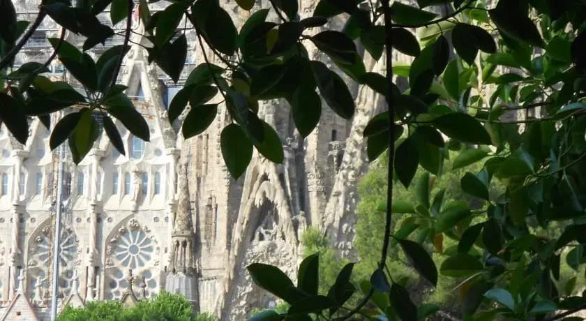 BCN Tourist Apartment - photo 5