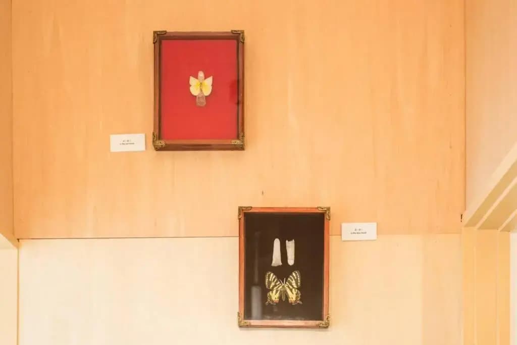 May Guesthouse - photo 14