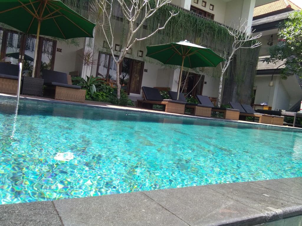 Artini Bisma Ubud Hotel - photo 15
