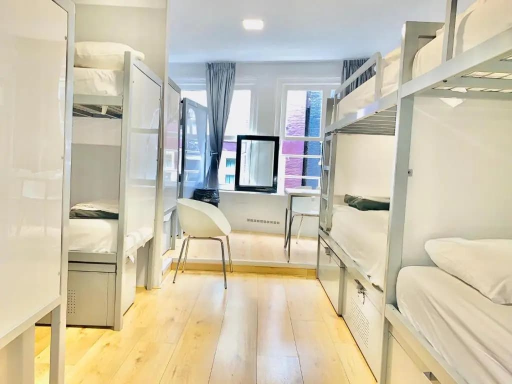 The White Tulip Hostel - photo 4
