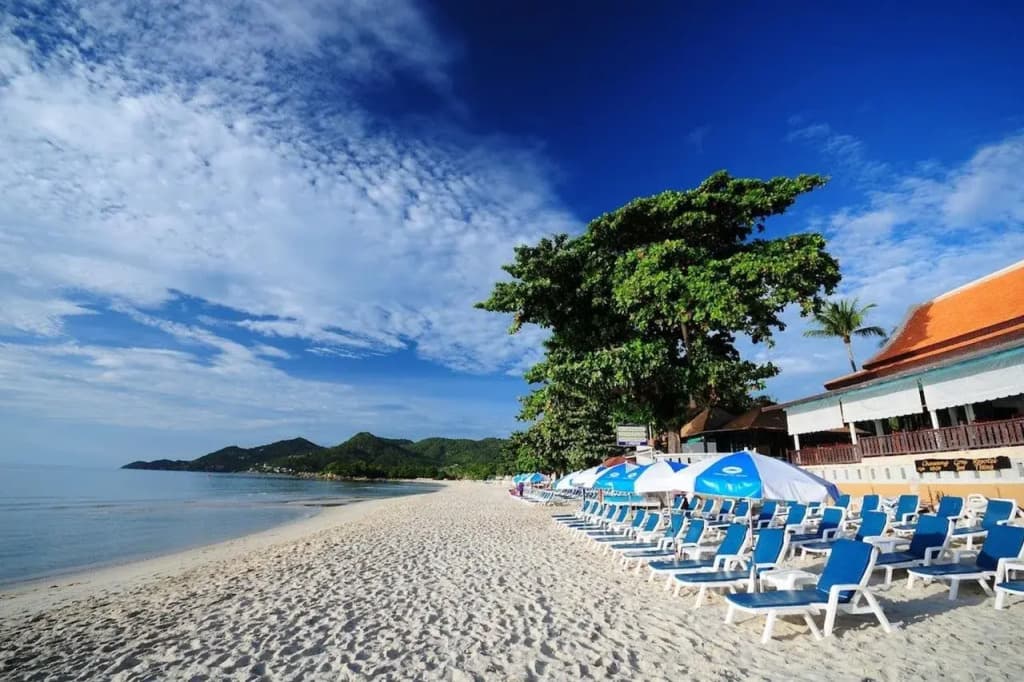 Chaweng Cove Beach Resort - photo 29
