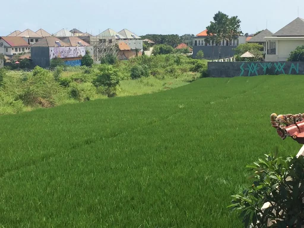 Bali Fullmoon Guesthouse - photo 11