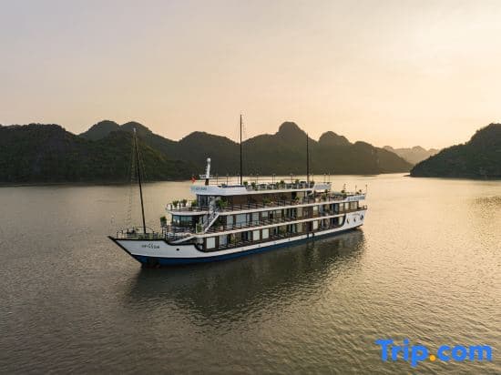 La Casta Cruise - photo 10
