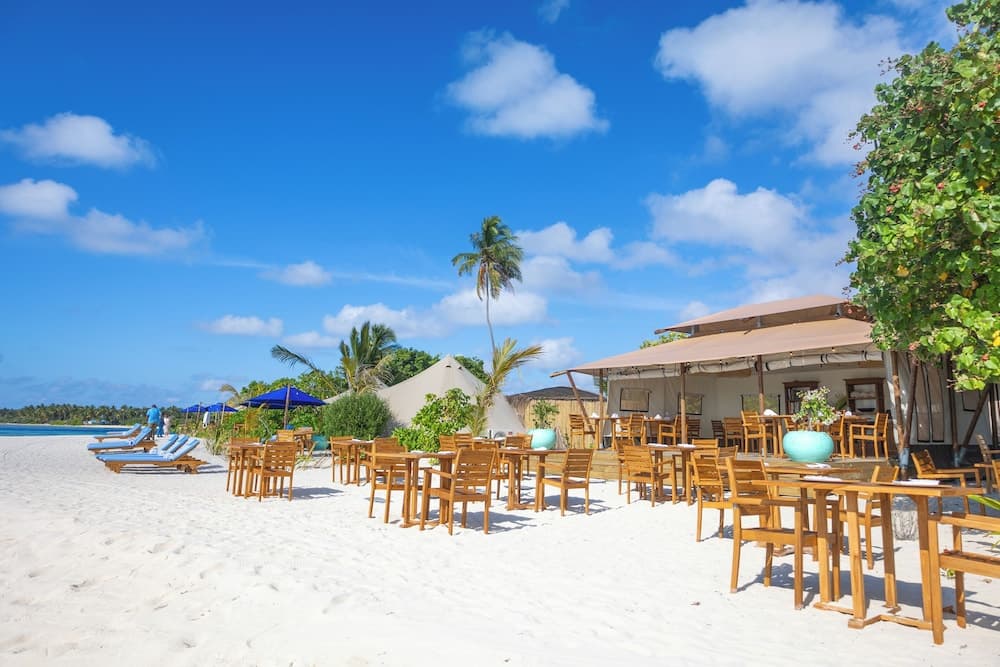 The Maverick Surf and Dive Boutique Hotel - photo 23
