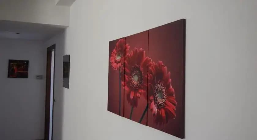 Lio House - photo 6