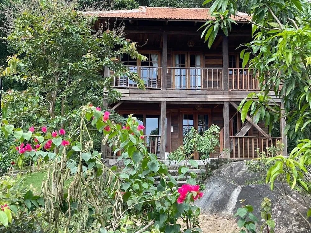 Freedom Jungle Resort - main photo