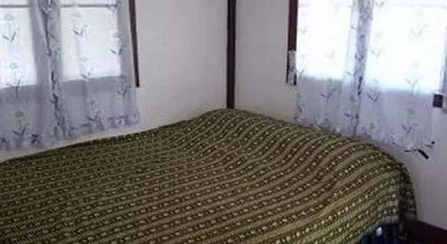 Royal Orchid Resort - photo 3
