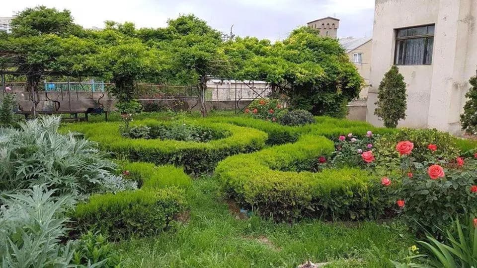 Oasis - photo 4