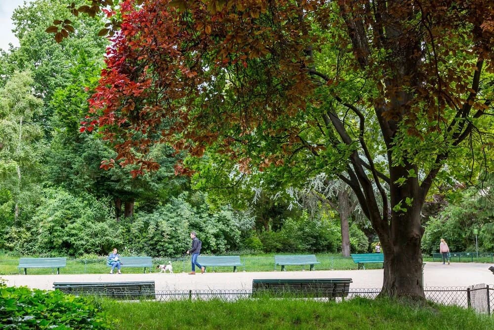 The Botanical Island - photo 12
