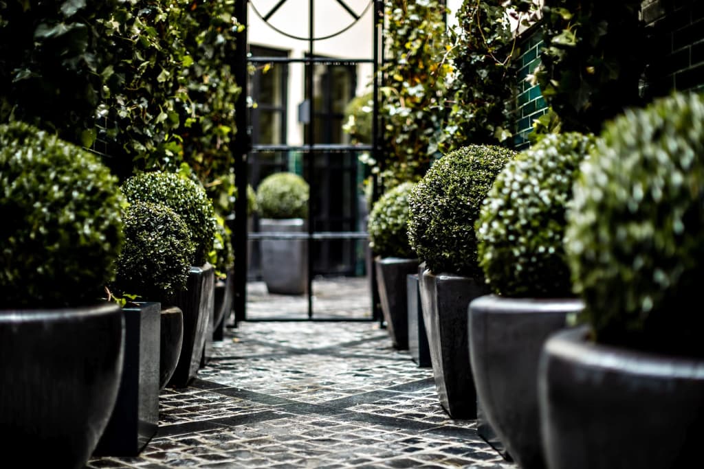 Monsieur George Hotel & Spa – Champs Elysées - photo 21