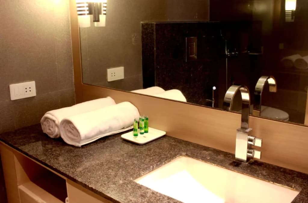 Hotel Swati - photo 20