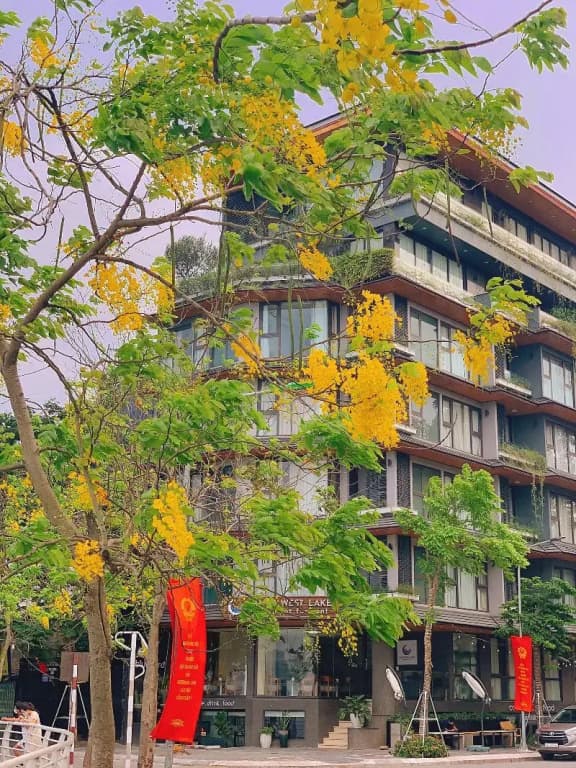 22Land Moon West Lake - photo 1